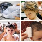 Fight against head lice