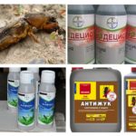Productes insecticides de Medvedka