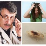 Komarovsky about pediculosis