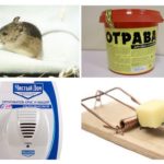 Methods of dealing with mice