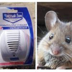 Ultrasonic repeller from rats and mice Clean house