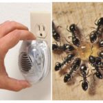 Insect repeller