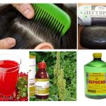 Folk remedies for lice and nits
