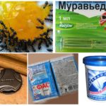 Insect chemicals