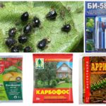 Chemicals to combat aphids