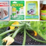 Chemical preparations for aphids