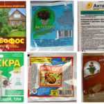 Productes insecticides