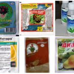 Effective drugs for aphids