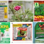 Productes químics tòxics per a la protecció de plantes