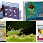 Chemicals for aphids