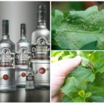 Vodka en la lluita contra els pugons
