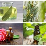 Essential oils in the fight against insects
