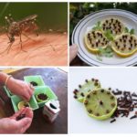 Lemon and cloves to protect against flying insects