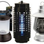 Popular insect lamps