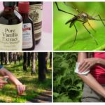 Vanillin-based mosquito repellent
