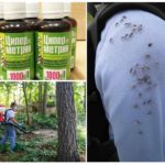 Cypermethrin in the fight against flying insects