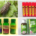 Insecticidal products