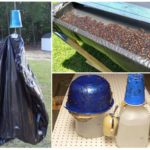 Homemade insect traps