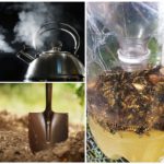 Ways to fight earth bees