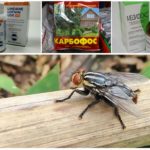 Chemical preparations for gadflies and gadflies