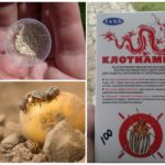 Insecticida Clotiamete de l'escarabat de la patata de Colorado