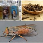 Folk ways to deal with gadflies and gadflies