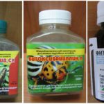 Biological preparations against silkworm