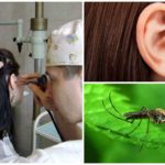 Mosquito in the ear