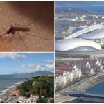 Mosquitoes in the Krasnodar Territory