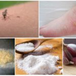 Folk remedies for blisters