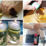 Homemade mosquito repellents