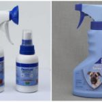 Sprays for dogs against ticks