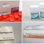 Medicines to combat ear mites