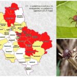 Dangerous areas for ticks on the map of the Moscow region