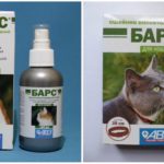 Collar and spray Leopard against ticks for cats
