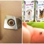 Tablets from ticks for dogs Bravekto