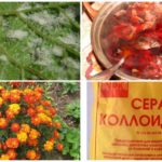 Traditional methods of dealing with grape mites