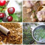 Popular methods of dealing with cherry fly