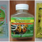 Biological products to combat spider mites