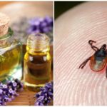 Essential oils against ticks