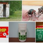 Remedies for flies in the toilet