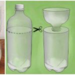 Plastic bottle trap