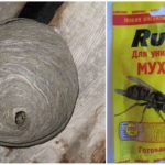 Ready bait Cuts against wasps
