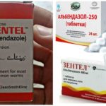 Benzimidazoles against Giardia